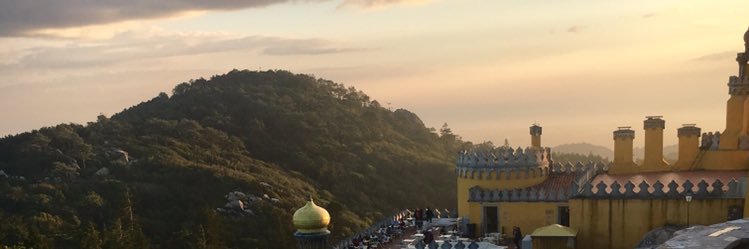taraa811's profile banner image