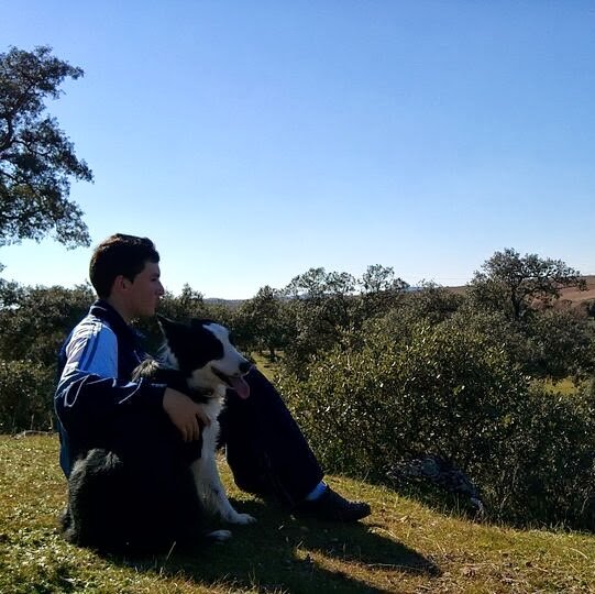 josereal09's profile banner image
