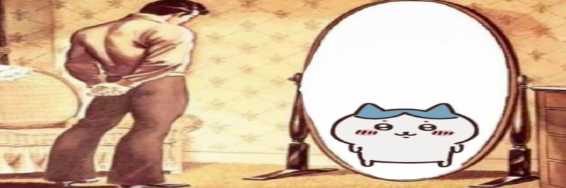 ness banner