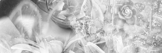 🪦⚰️mariposa banner