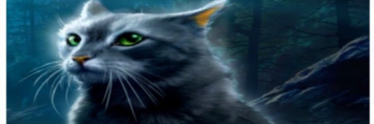 pillbugmaxxing's profile banner image