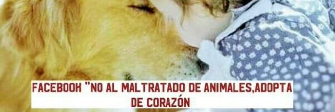 Lolo banner