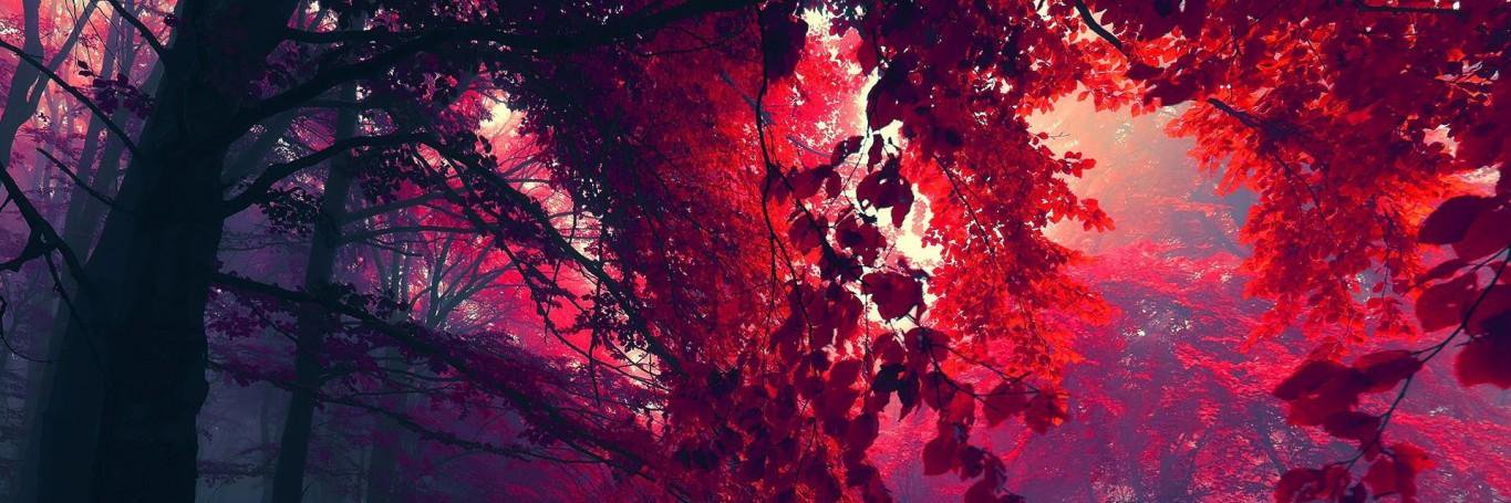 MysteryRoberto banner