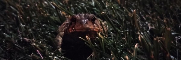 trappylackypack Profile Banner