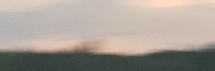 Calon mie/カロン ミー banner