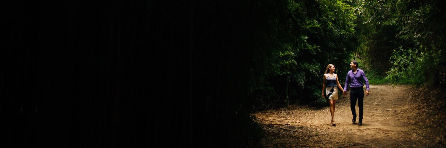 DafneSkinner's profile banner image