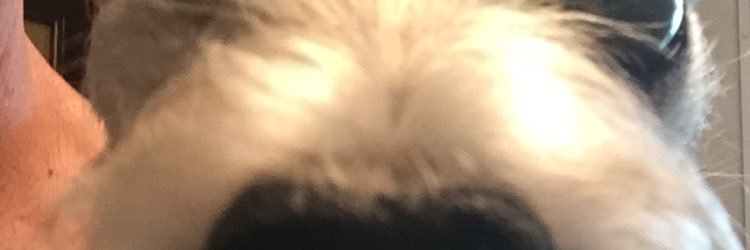 everlastingdoor's profile banner image