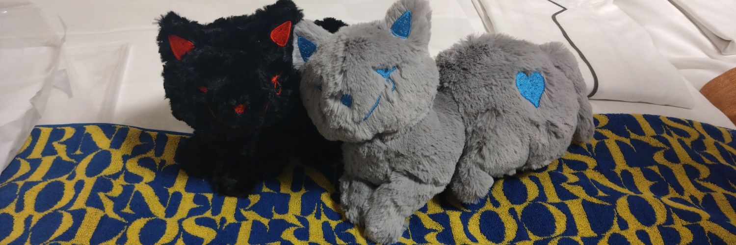 you_paleblue's profile banner image