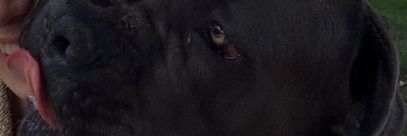 shantalmon1que's profile banner image