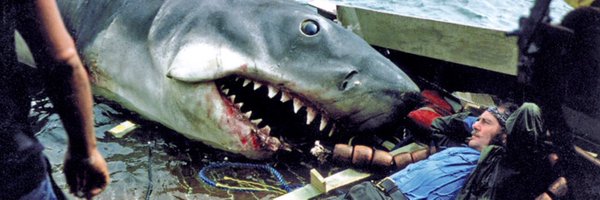 ttodhunter Profile Banner