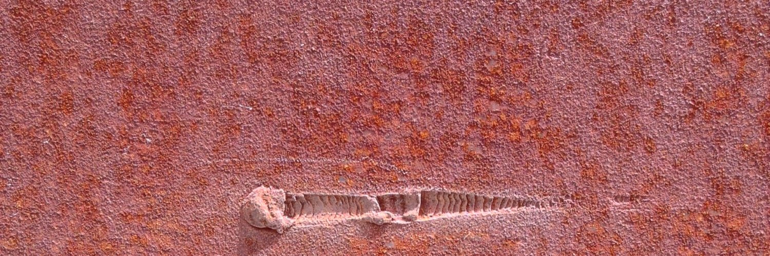 ronallo's profile banner image