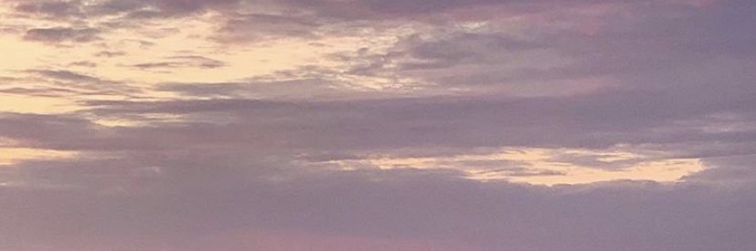 carolandingham's profile banner image