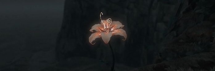wfriol's profile banner image