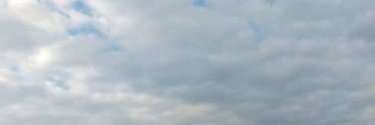 gep year²⁵ banner