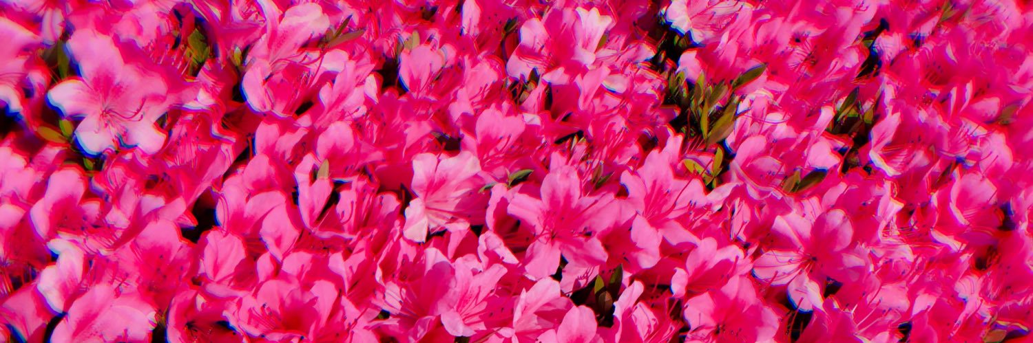 sssaaao's profile banner image