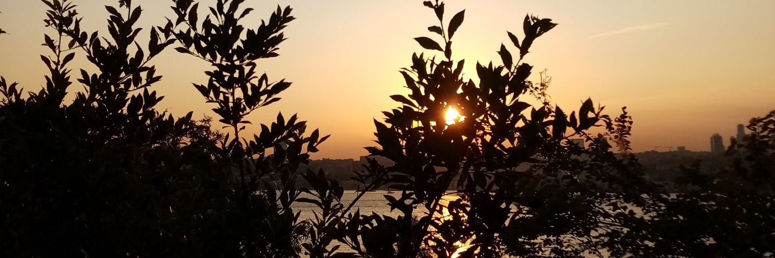 VuralerSeyma's profile banner image