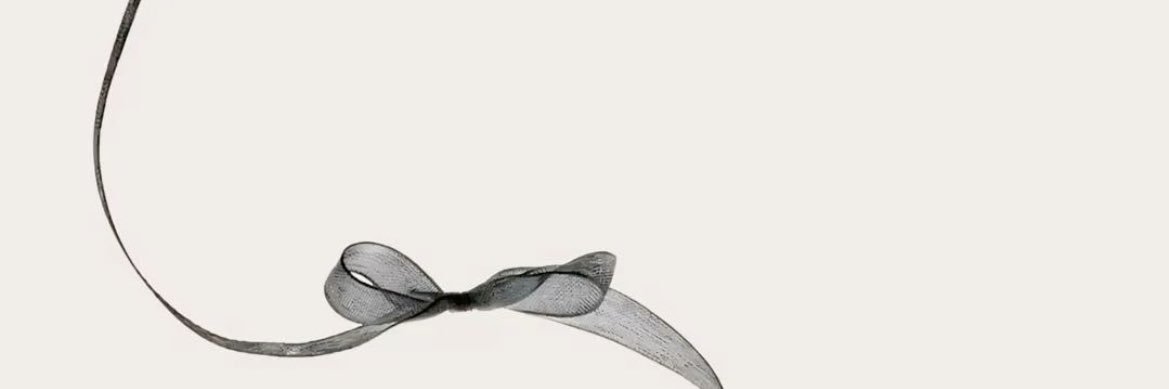 suno0_l's profile banner image