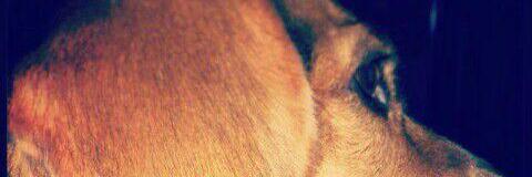 AndresBotero18's profile banner image