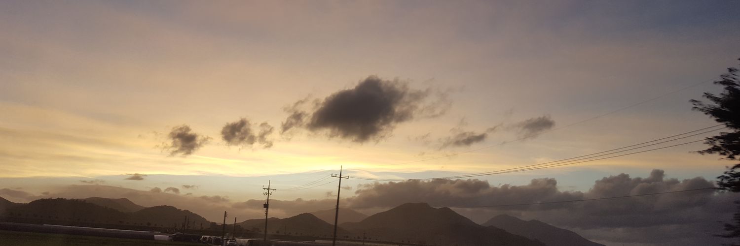 prongscjs's profile banner image
