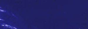 🫐 banner