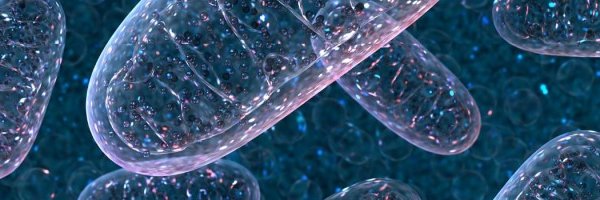 germanbiohacker's profile banner image