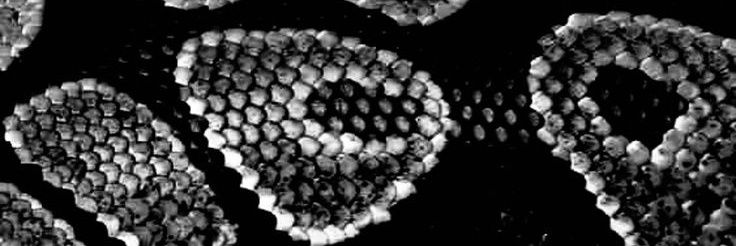 𝕴𝖘 𝖎𝖙 𝖋𝖔𝖗 𝖒𝖊? banner