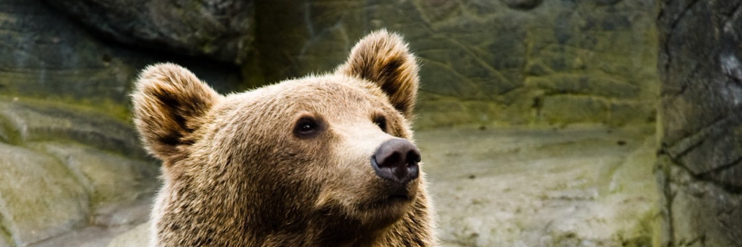 石川クマ野郎@C107水曜東E28b banner