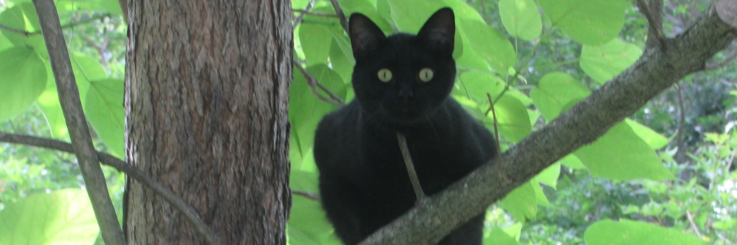 William Rosen banner