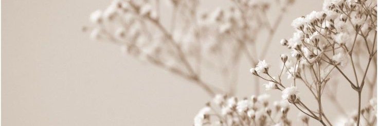 mexrzu's profile banner image