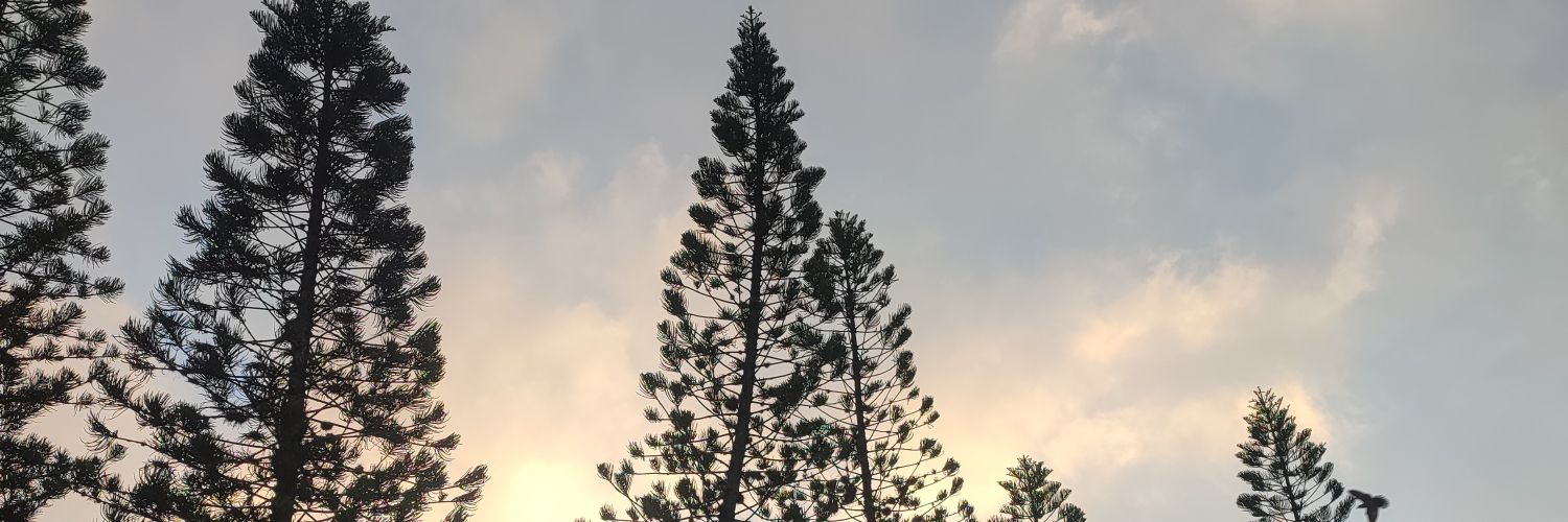 ElRodo__'s profile banner image