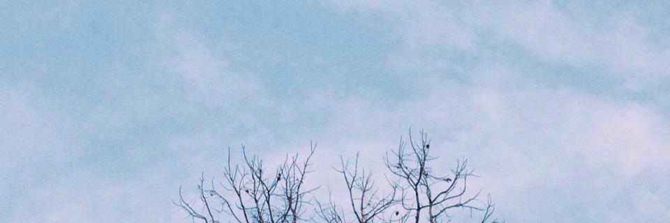 wpsnpp's profile banner image