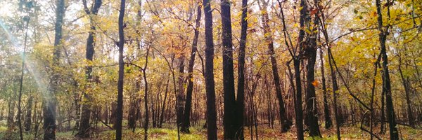 1689Woodsman Profile Banner