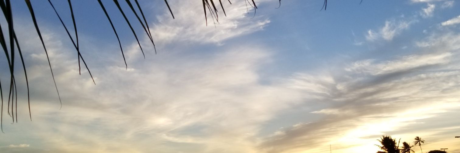 kay1215's profile banner image