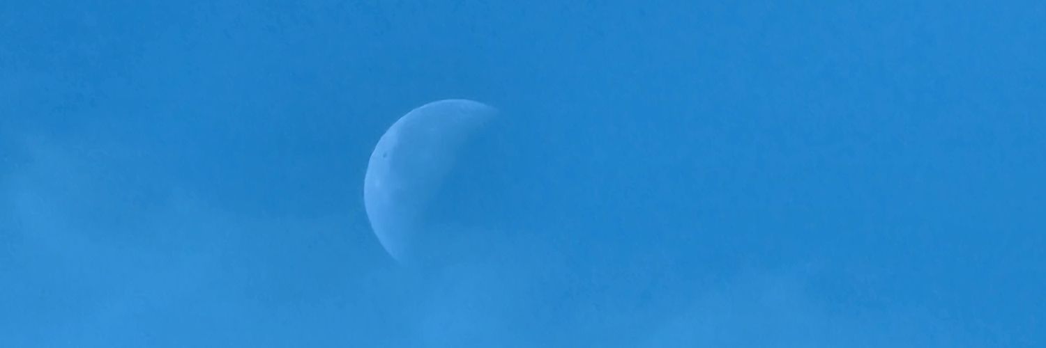 BoMax101's profile banner image