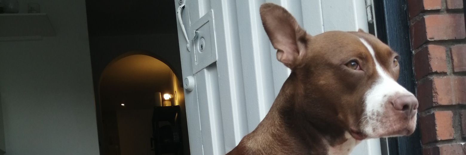 matteoquintero's profile banner image