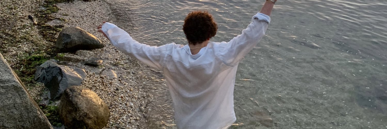 henry frontini banner