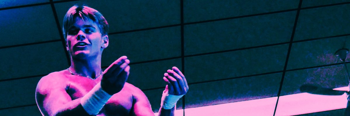 ᥫ᭡. banner