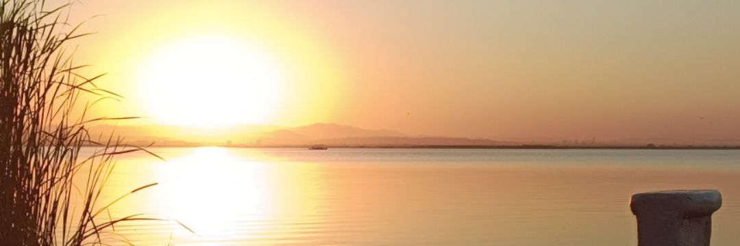 helen110610's profile banner image
