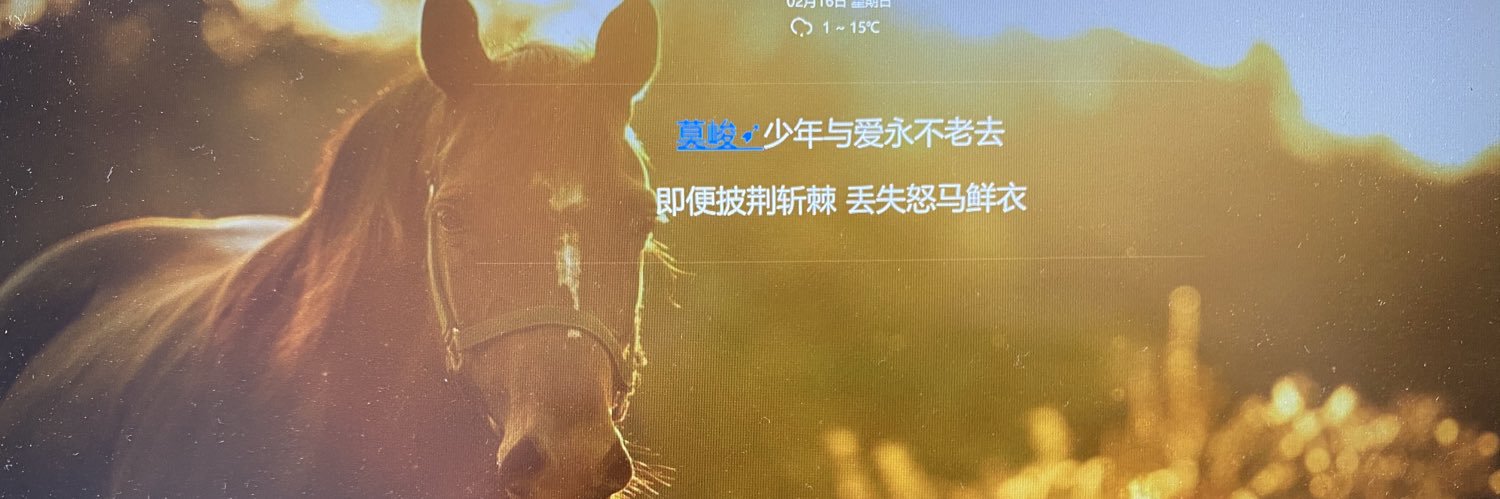 vincentzhang's profile banner image