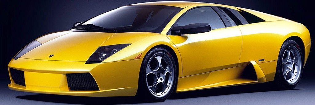 where'd you go Sophie? banner