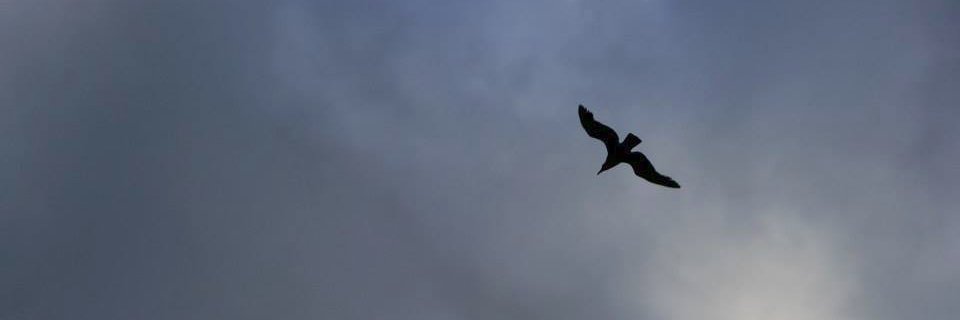 ClazyKid's profile banner image