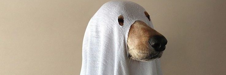La_Layca's profile banner image