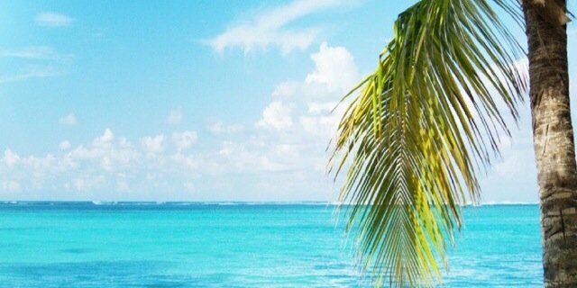 EndurancePapi's profile banner image