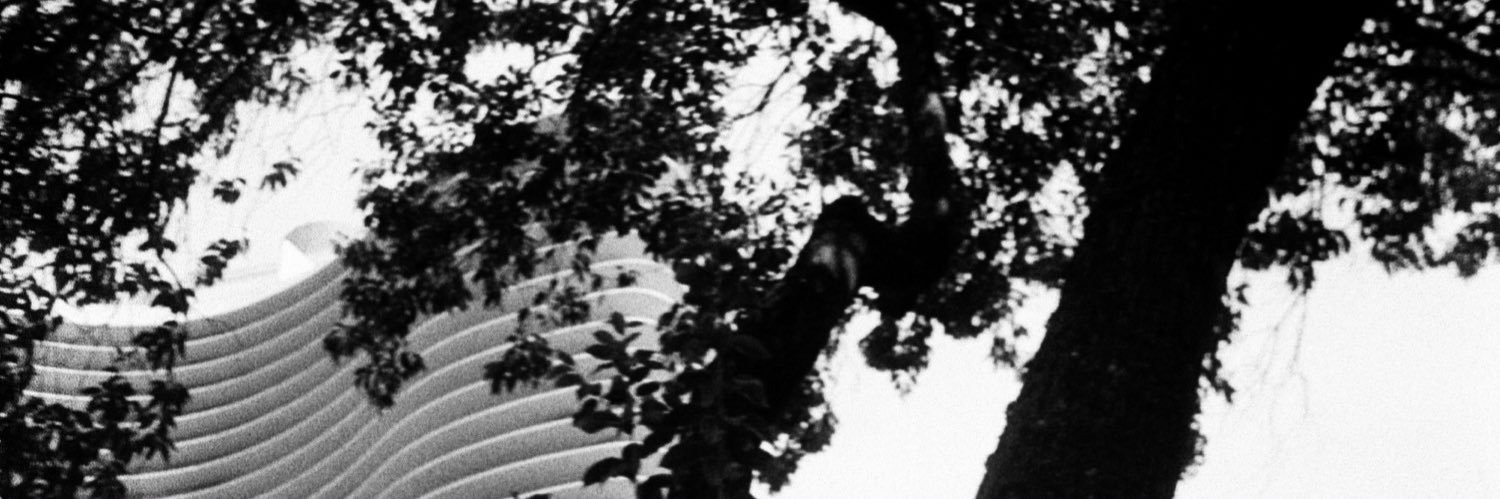 PdRngL's profile banner image