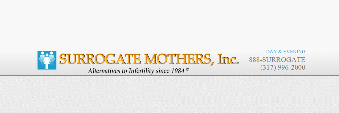 Steve Litz, Founder banner