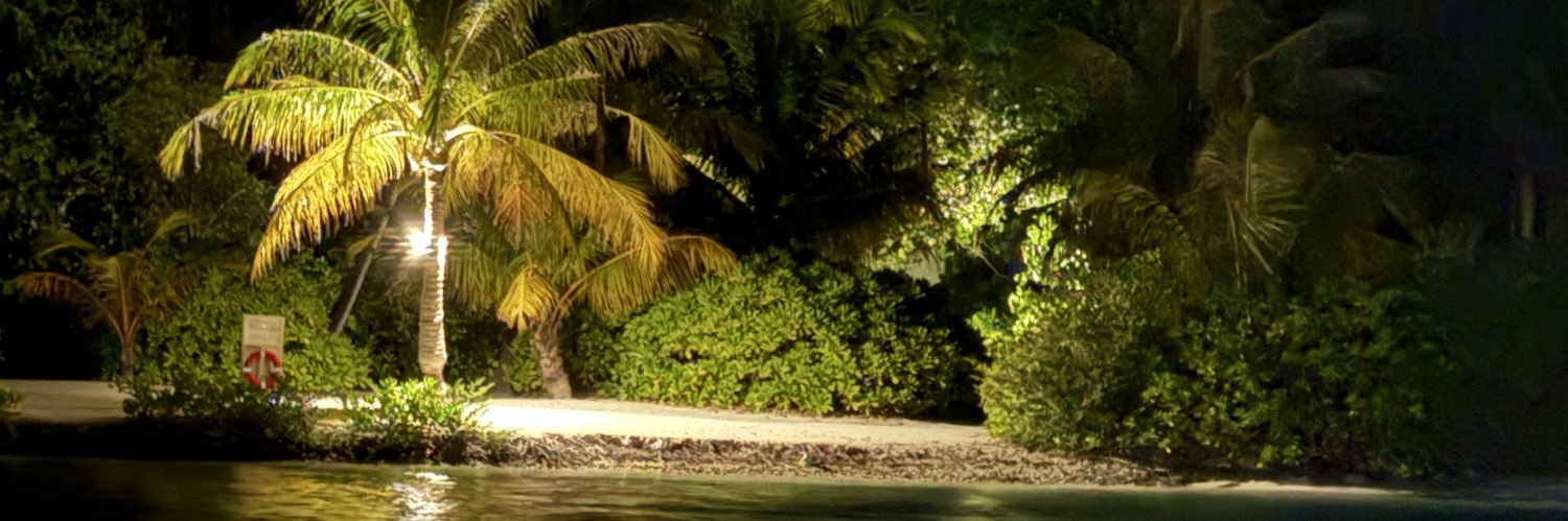 ri_az's profile banner image