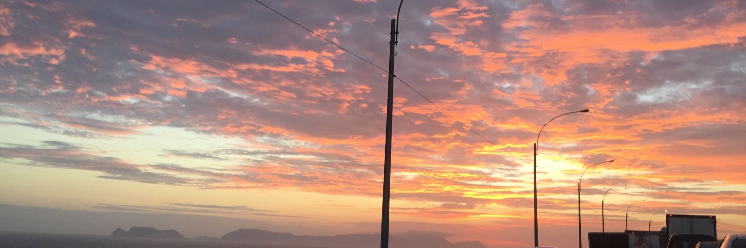 mlynchs's profile banner image