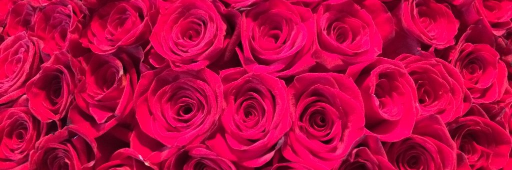 misterkoop's profile banner image