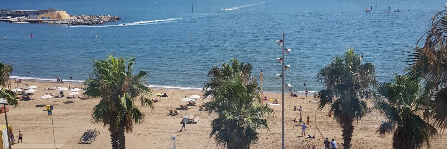 Andrew Vicéns banner