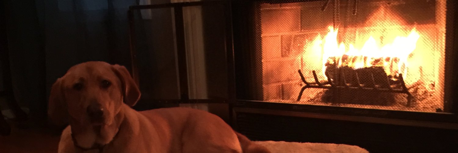 laferboy's profile banner image